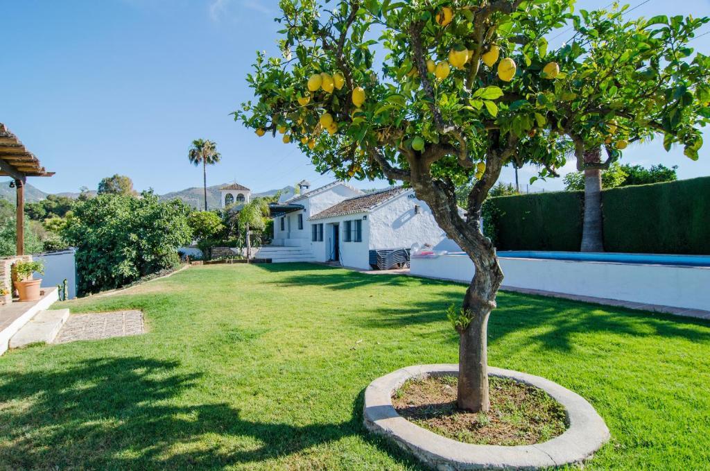 Bed and Breakfast Rancho Del Ingles Альхаурин-де-ла-Торре Экстерьер фото