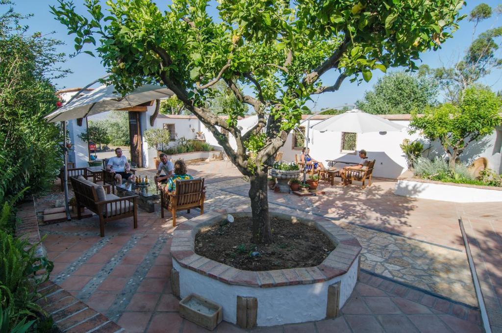 Bed and Breakfast Rancho Del Ingles Альхаурин-де-ла-Торре Экстерьер фото